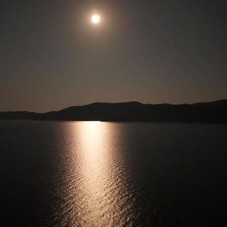 Beach Villa Ratac Slano Bagian luar foto